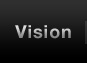 Vision
